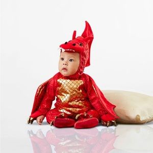Pottery Barn Dragon Costume w/ treat basket